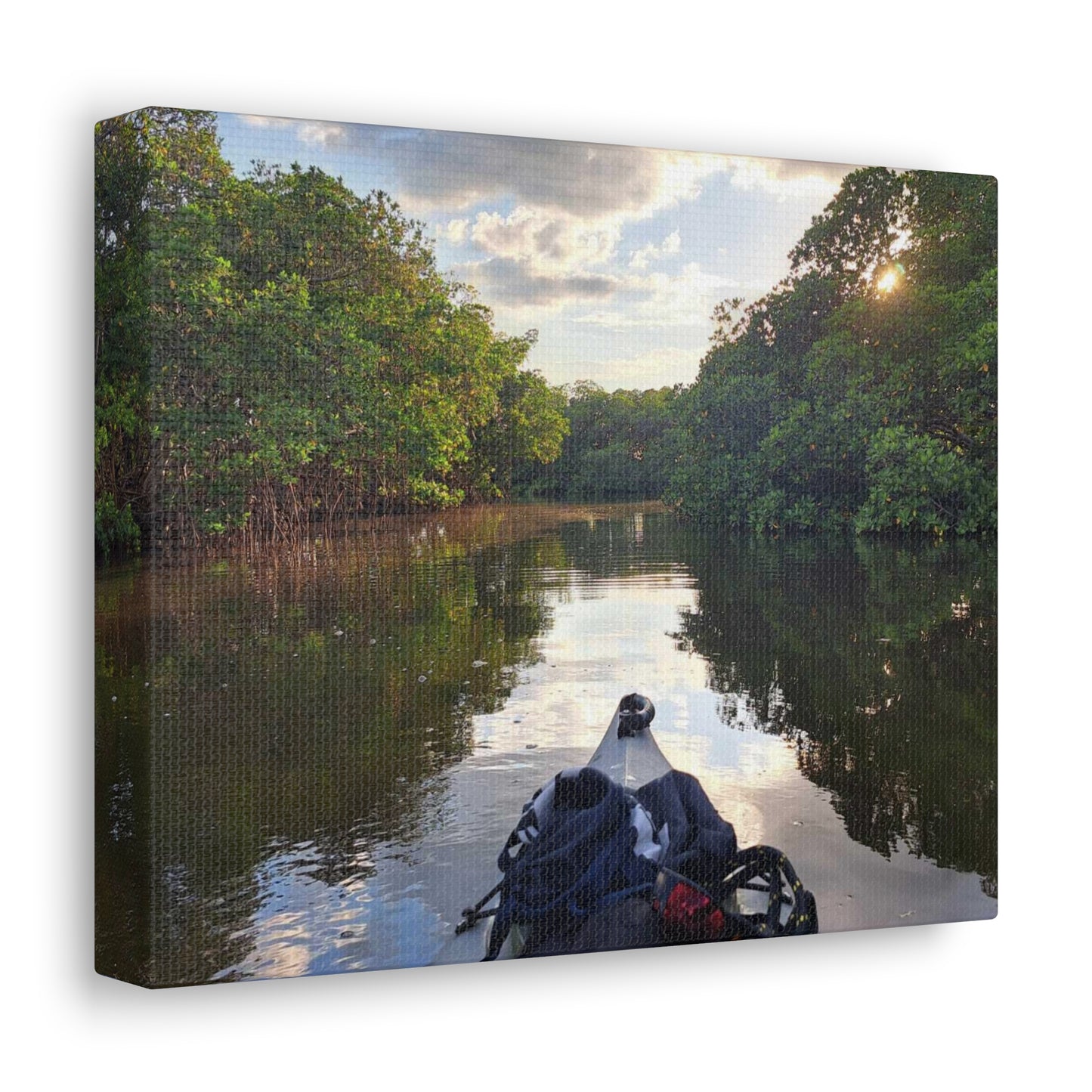 Weedon Island Canvas Print