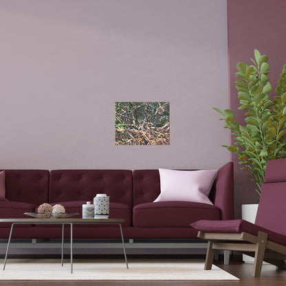 Weedon Island Indoor and Outdoor Silk Poster