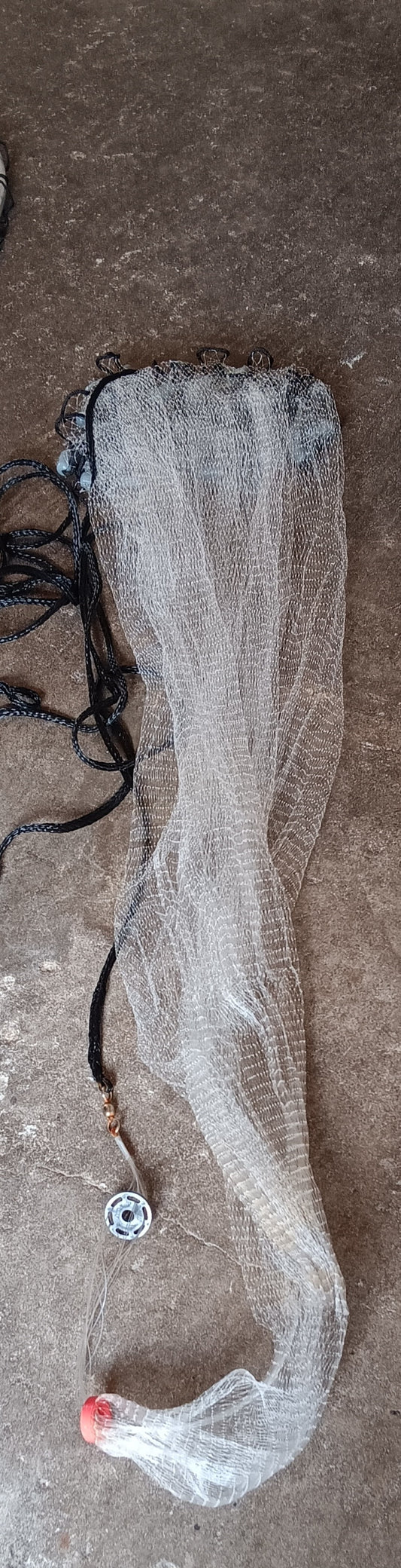 Bait Cast Net Rental