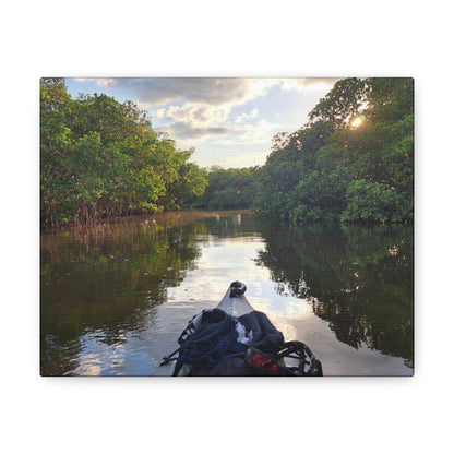 Weedon Island Canvas Print